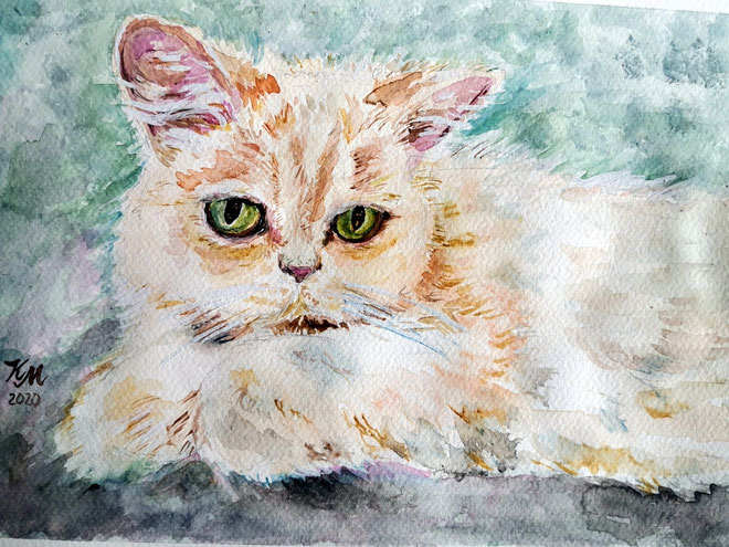 Nachbars katze, 20x30, Aquarell, 2020
