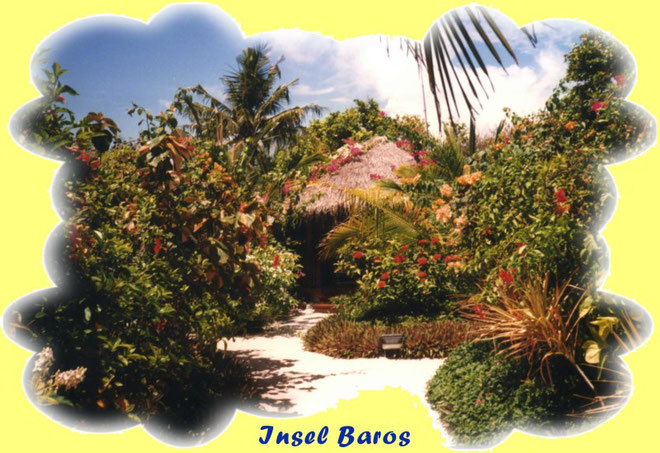 ...1997...Touristenhütten in der Fauna der Insel...