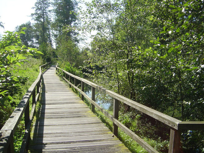 Holzstege, ...am Rellerbach, ...der durch den Park führt...