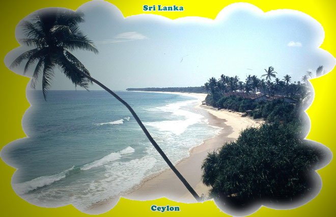 ...die endlosen Strände von Sri Lanka --- Foto : Süd-Küste beim Koggala-Beach-Hotel...