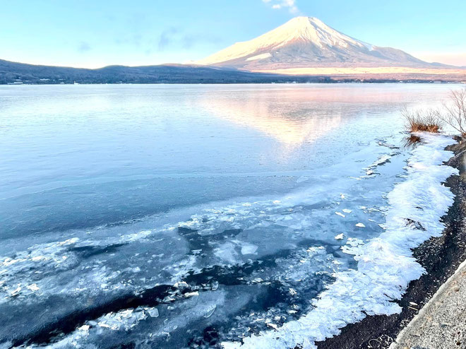 山中湖がだいぶ凍ってきました☆凍っては解け、氷が集まりガチガチに凍っている所、まったく凍ってないところ、氷の上を歩く水鳥。。。神秘的な七変化を楽しんでいます(^^)