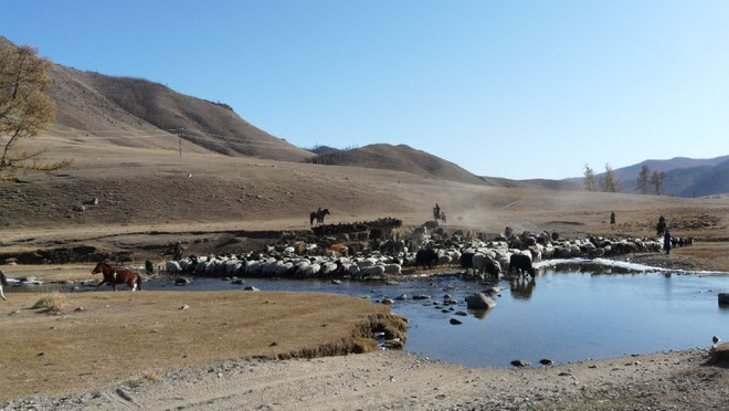 Une belle riviere ou moutons, vaches, chevaux et cyclistes vont pouvoir se desalterer et se tremper les pieds en la traversant...