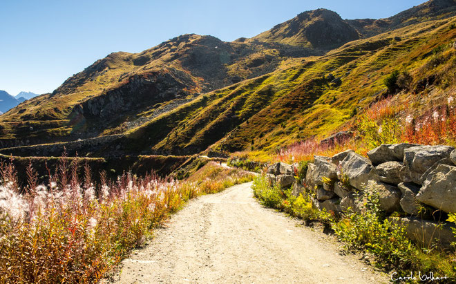 Auf dem Weg zur Fiescheralp - zu meiner Überraschung war hier alles in voller Blüte, wunderschön!!