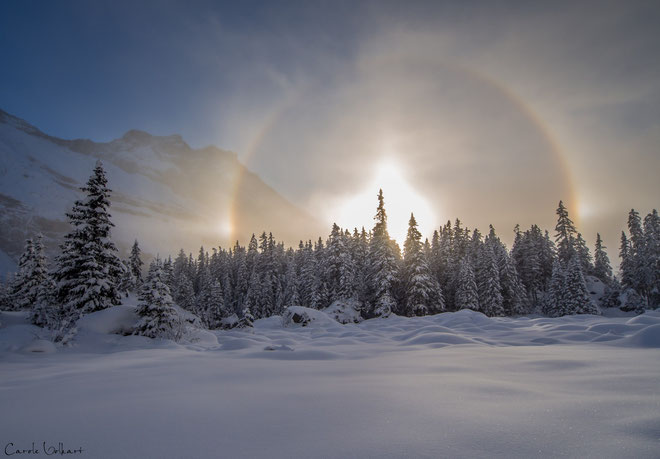 Eisnebel-Halo mit Nebensonnen oder "Das Auge von Mordor", wie es mein Vater nennt ;-)
