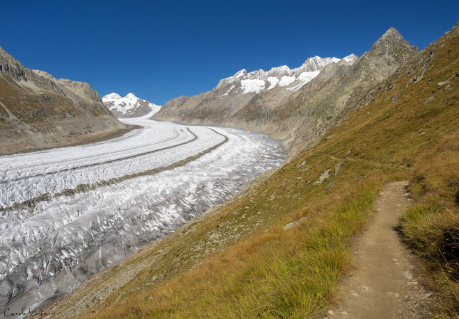 toller Wanderweg mit Blick auf den Aletschgletscher
