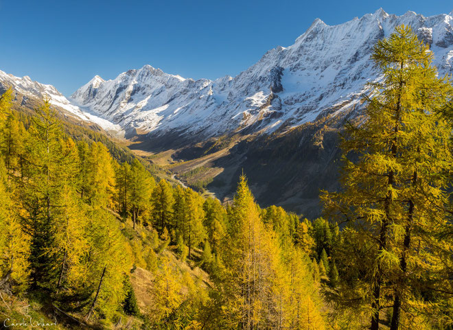 Blick ins Tal in Richtung Fafleralp