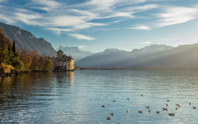 Als ich von Montreux zum Schloss spazierte, bot sich mir diese Aussicht.
