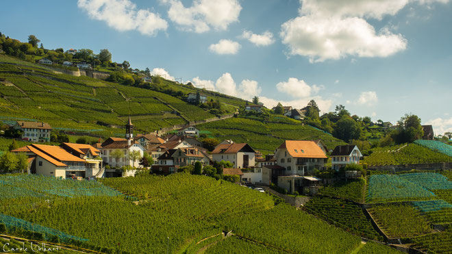 Das Weindorf Aran