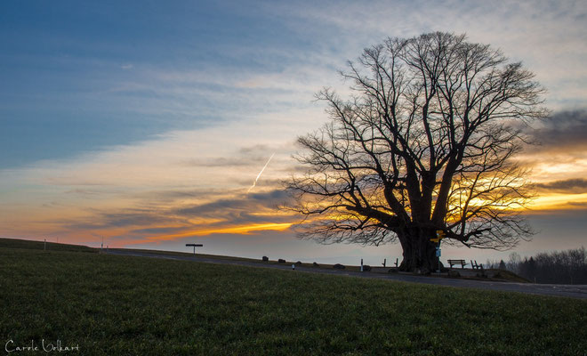 So sah die Stimmung vor Sonnenaufgang aus respektive als die Sonne noch hinter den Wolken versteckt war.
