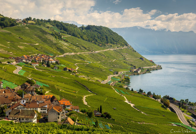 unten links ist das Dorf Riex und dahinter das Dorf Epesses zu sehen