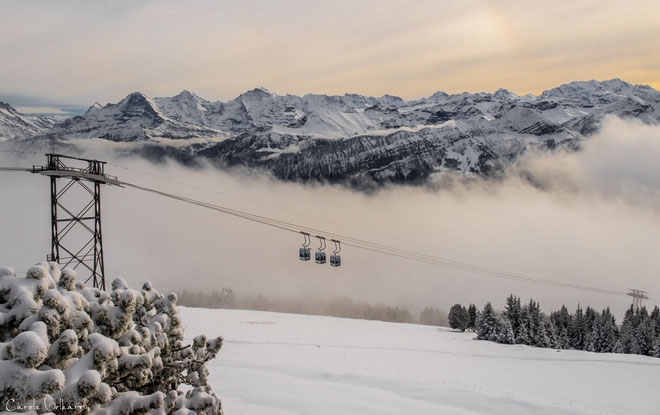 Gondelbahn Beatenberg-Niederhorn (fährt immer in 3er Grüppchen, sieht total lustig aus nicht? ;) )