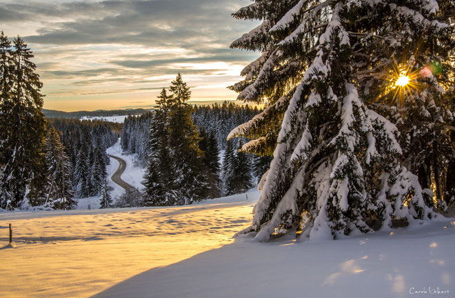 Kurz nach Sonnenaufgang mit Blick ins "Tal".