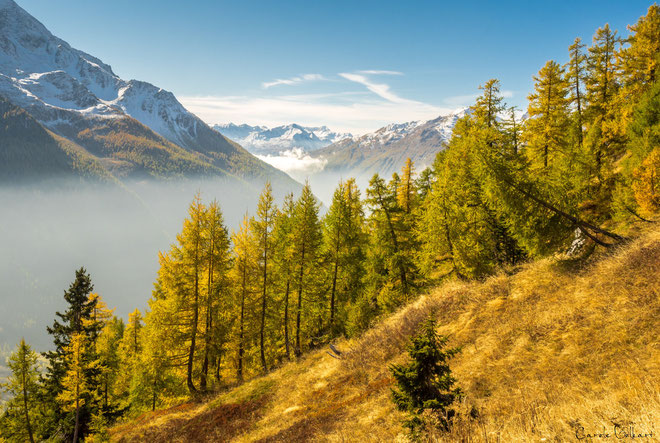Blick zurück zur Lauchernalp - bisschen Restnebel war noch da.
