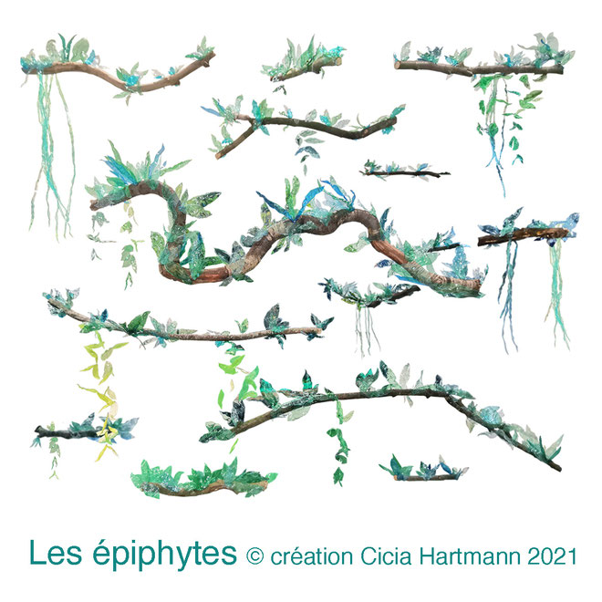 Installation de : " Les épithytes " de Cicia Hartmann - AGIR POUR LA FORET - Grand magasin PRINTEMPS VELIZY 2 - Vélizy Villacoublay (78) 22 oct. au 15 nov. 2021