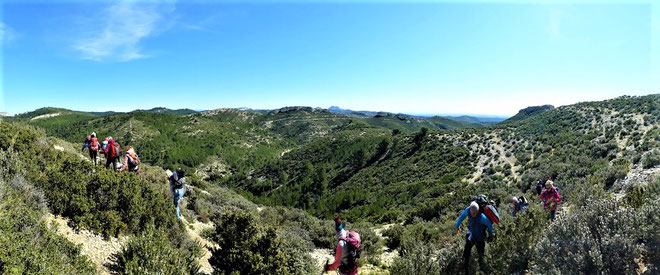 Ciel bleu, collines, romarin, thym et randonneurs... La magie des Alpilles