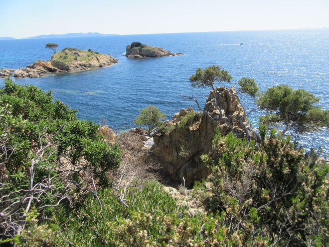 Sur le chemin du Littoral entre les Estagnols et le fort de Brégançon, les ilôts du Jardin: dimanche 10 avril 2016
