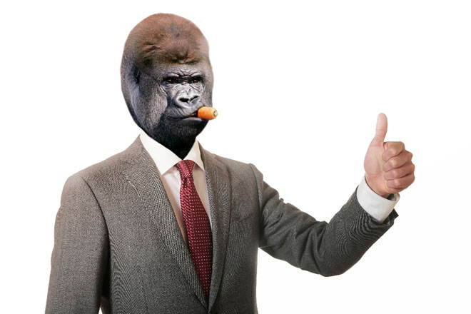 ウホホホホホホホホ Ba7mamaねっと