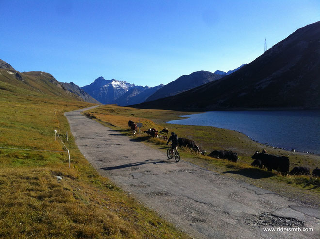 è inusuale iniziare il giro a quota 2600 m SLM........ebbene si, al colle del Nivolet ci siamo solo noi e tante mucche....