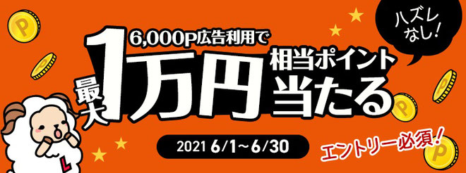 アンケートサイトで最高1万円キャンペーン