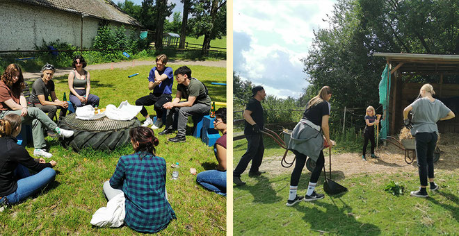 Pferdeflüstern für Teams - Teambuilding und Selbstreflexion mit Spaß und lieben Ponys.