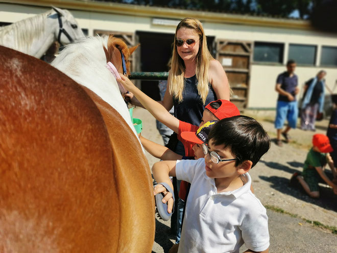 Western- und Pferdetrainerin Svenja Clauberg zeigt an Pony Empire, wie man Pferde putzt. 