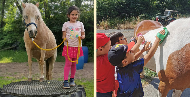 Liebe Ponys, Spaß und Action erwarten Dich bei der Ponyhof-Olympiade.