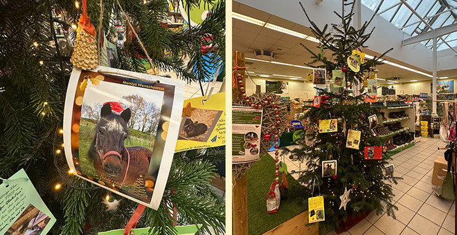 Die Seniorpferde haben Wunschzettel am Weihnachts-Wunschbaum im Raiffeisen-Markt Erkrath aufgehangen 