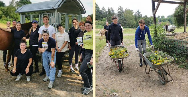 Social Day / Care Day mit Pferden in Düsseldorf