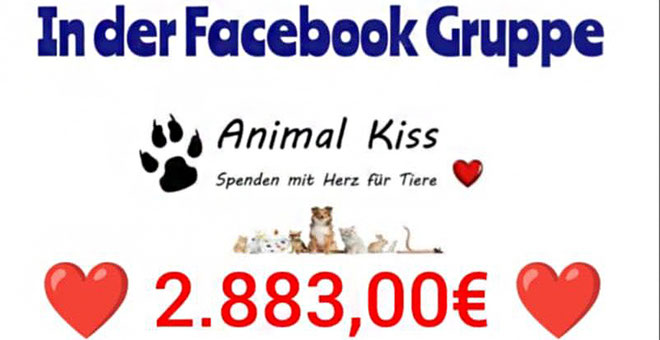 2.883 Euro hat die Facebook-Gruppe Animal Kiss für die Seniorpferde "erbastelt"