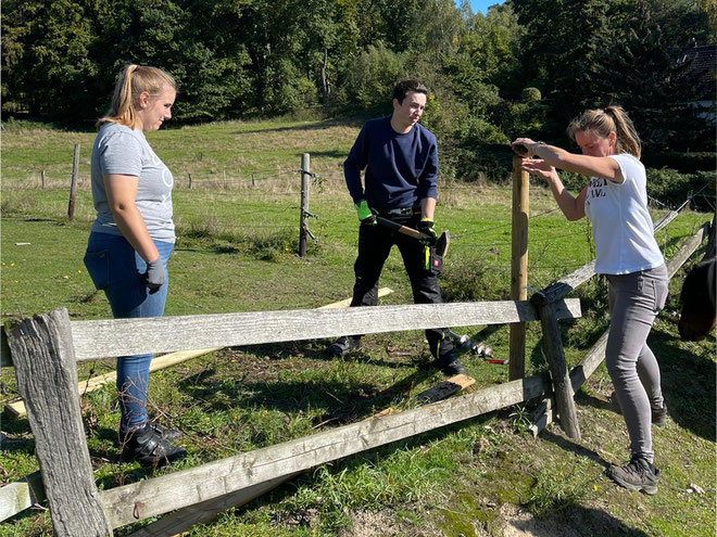 Apple-Mitarbeitende verbrachten ihren Social Day auf Gut Rodeberg