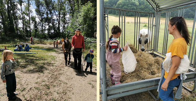 Naturkindergarten Üllehütt e.V. besucht die Seniorpferde zur Ponyhof-Olympiade