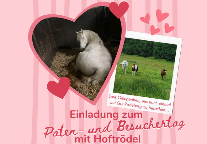 Einladung zum letzten Paten- und Besuchertag mit Hoftrödel auf Gut Rodeberg