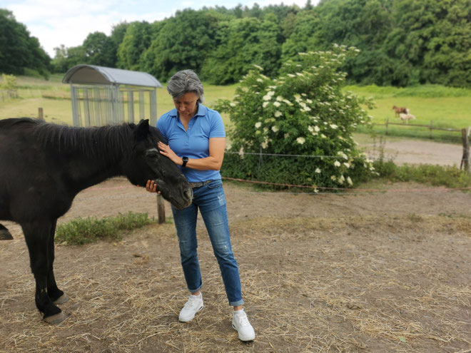 Vereinsvorsitzende Lydia Pache ist erleichtert, ein neues Zuhause für die 12 Seniorpferde gefunden zu haben - auch wenn der Abschied von Gut Rodeberg schwerfallen wird.