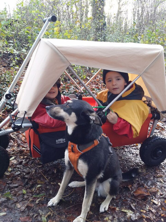 Gassi gehen mit Hund und ulfBo