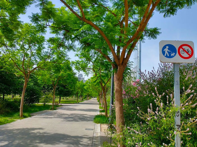 Esta es una de las entradas principales al Parque de Malilla en Valencia, con unos colores preciosos.