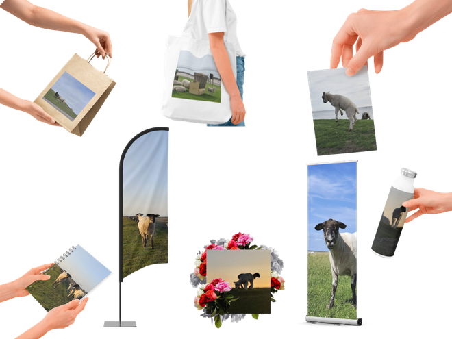 Ideenportfolio zur Verwendung der Nordsee-Fotobox "Schafe am Deich" von DEICHDOHLE_arts