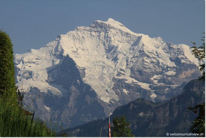 ... Schneebergblick - auch im Hochsommer.