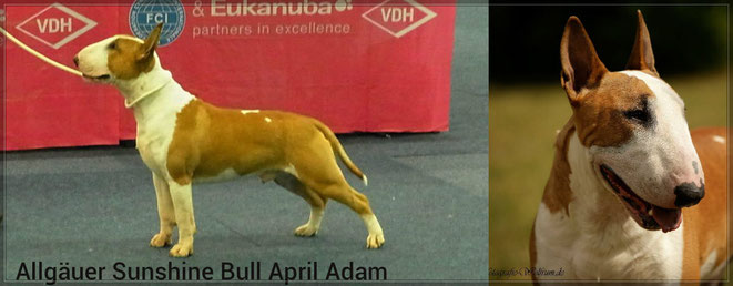 April Adam Jugendklasse