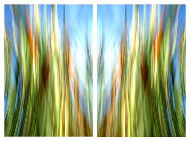 otherONES | 2007 | Titel: Tor in die Anderswelt - 2x 50x70cm, á 379,00 Euro | Aludibond - Edition of 3.