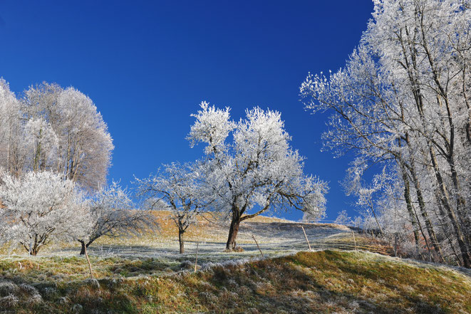 Foto: Andreas Ender, photo-art+painting - NATUR/E - please, follow the link!