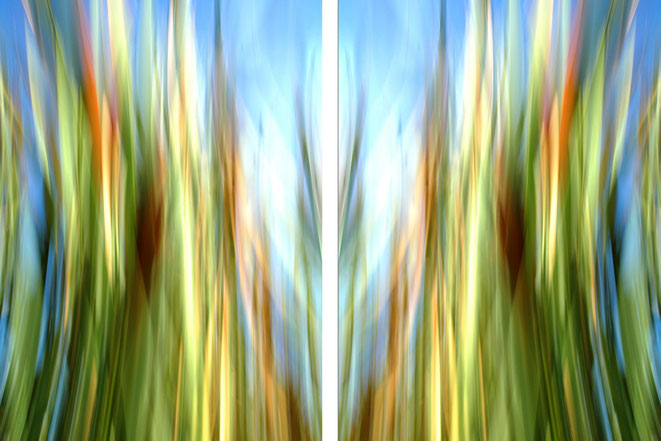 Foto: Andreas Ender, photo-art+painting | Portfolio: otherONES