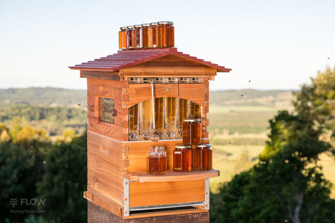 Flow Hive ideal für Hobby-Imker
