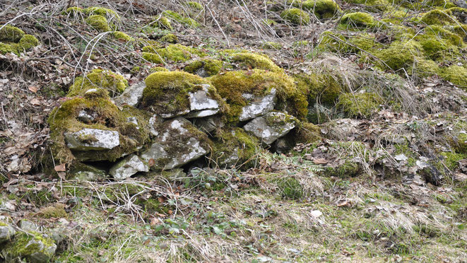 Ntürlicher Unterschlupf für Kleinlebewesen
