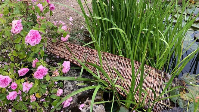 Trocken, Feucht und Nassbiotope Naturgarten Naturwiese Wildnis