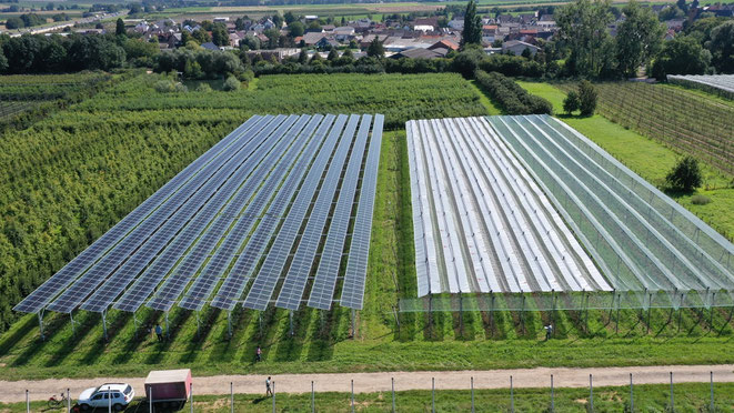 Agri-PV Moduldächer