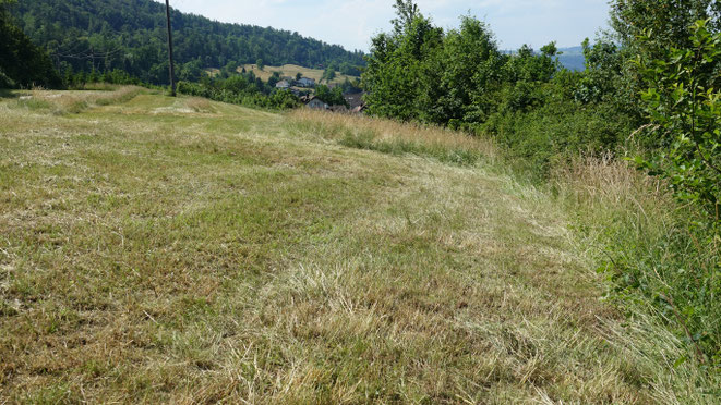 Heu - Ernte unterteilt in verschieden Abschnitte