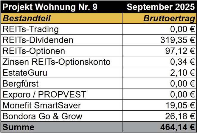 tabellarische Übersicht, Einnahmen Projekt Wohnung Nr. 9, REITs, Optionshandel, Bergfürst, Exporo, PROPVEST, Bondora Go & Grow, Monefit SmartSaver