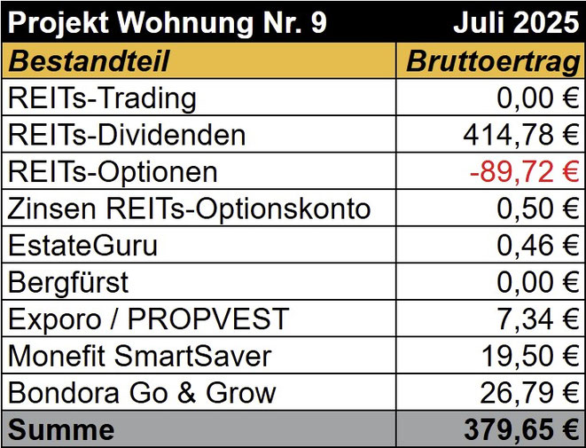tabellarische Übersicht, Einnahmen Projekt Wohnung Nr. 9, REITs, Optionshandel, Bergfürst, Exporo, PROPVEST, Bondora Go & Grow, Monefit SmartSaver
