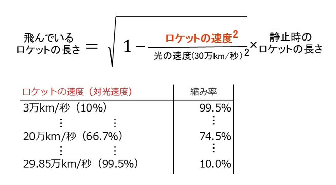 どれくらい縮むのか？