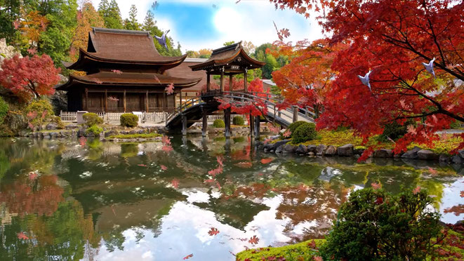 夢の中の日本庭園イメージ
